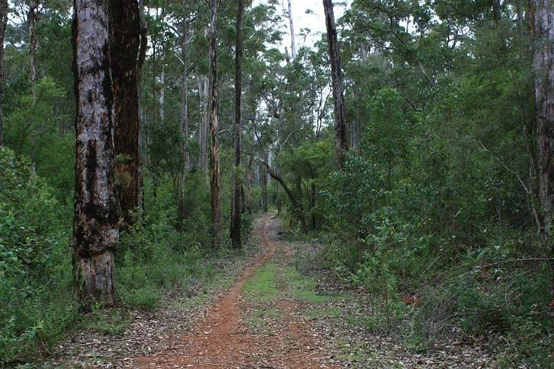 Munda Biddi Trail