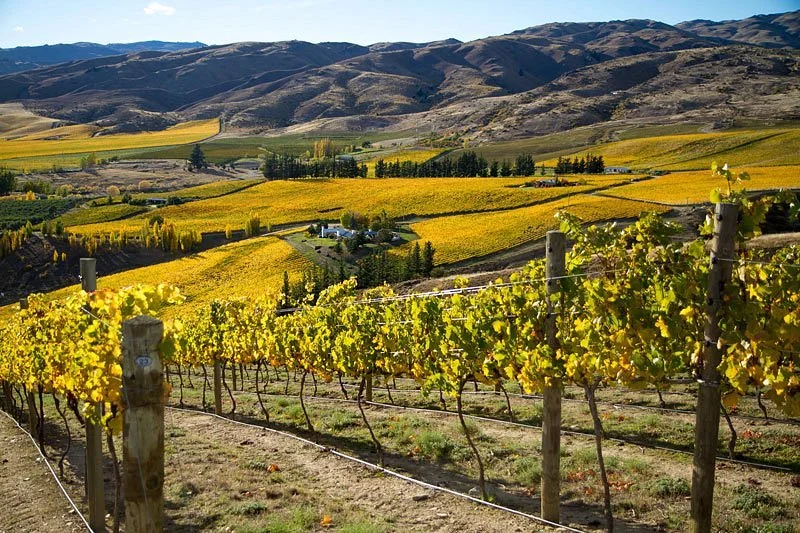 Ceres Wines