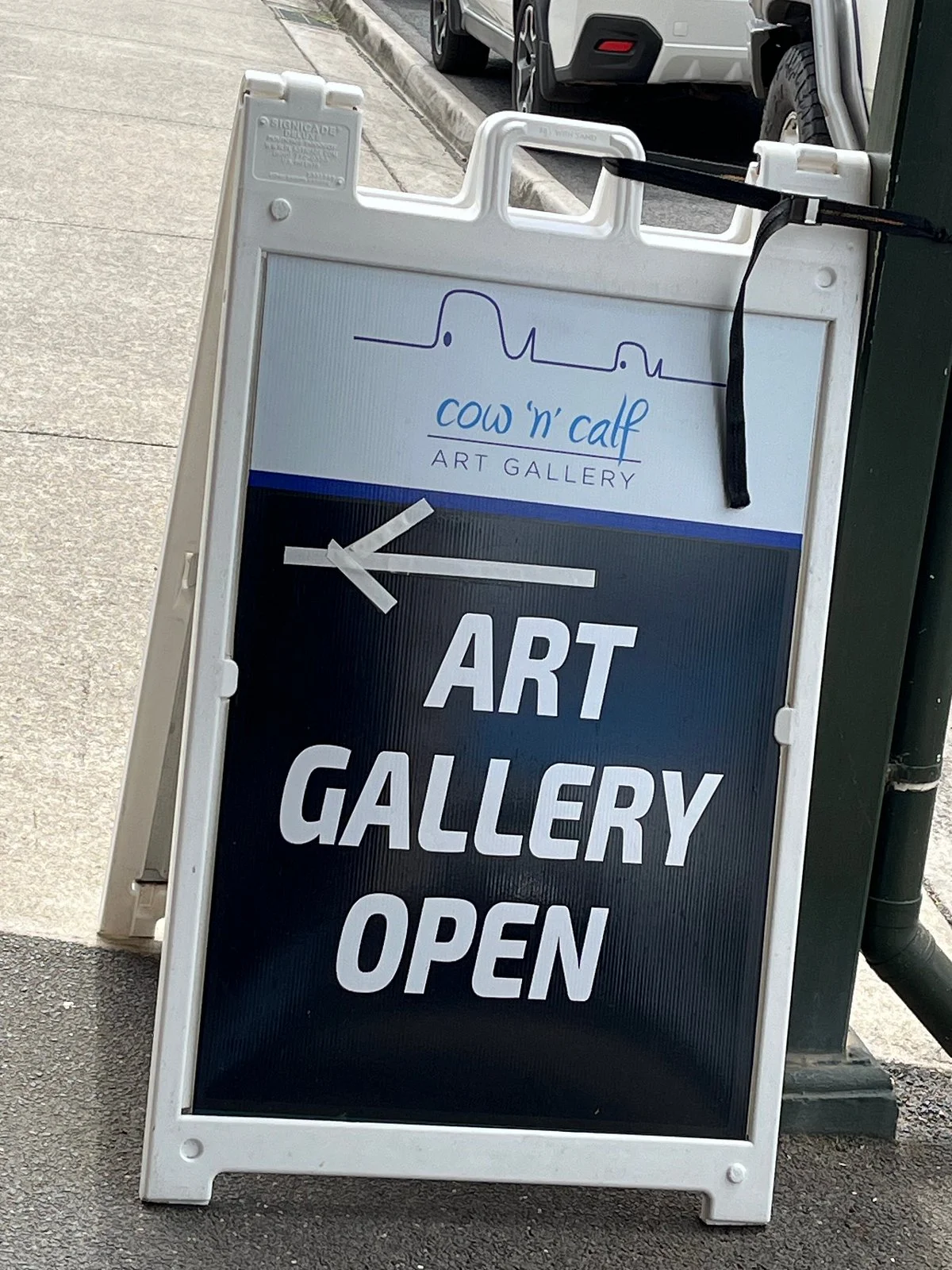 Cow 'n' Calf Art Gallery