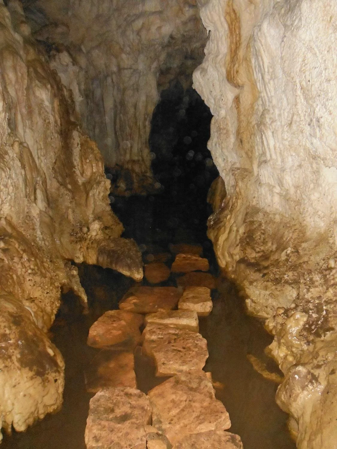 Fox River Cave Walk