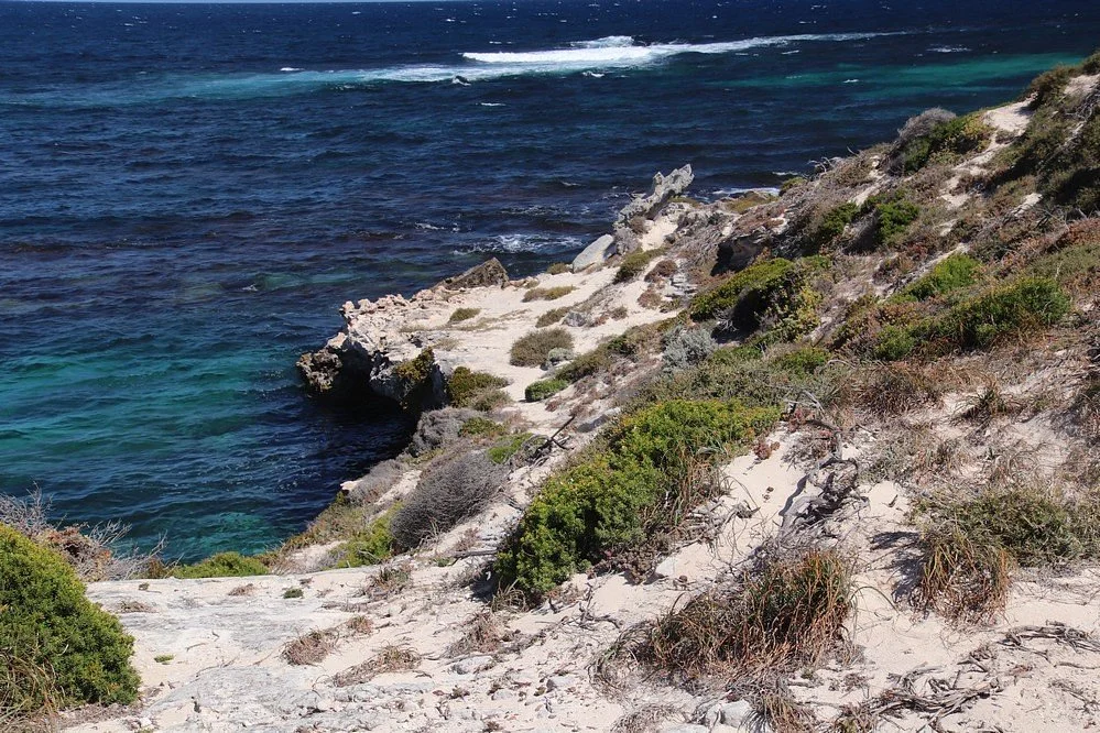 Kitson Point
