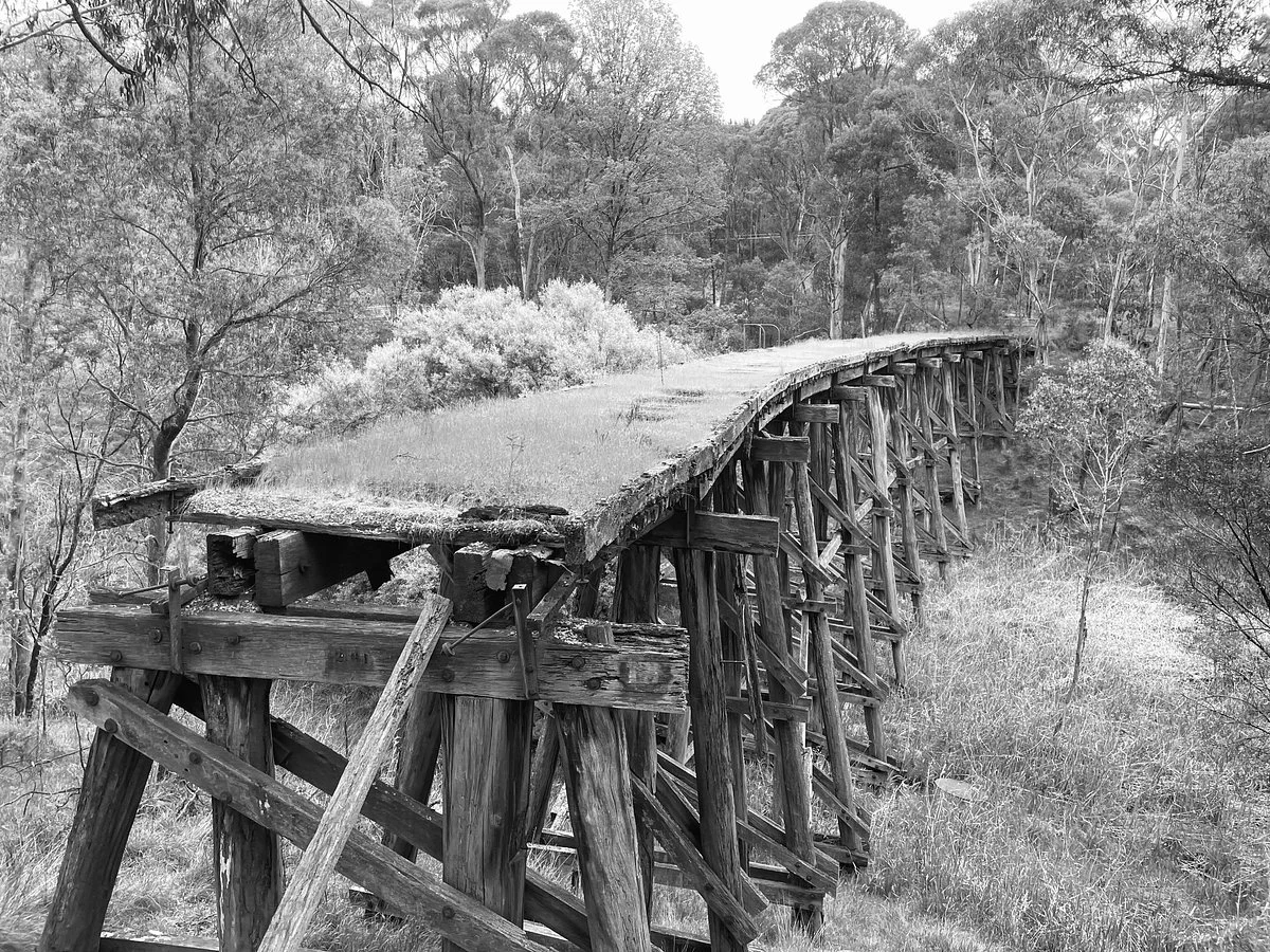 Koetong Trestle Bridge