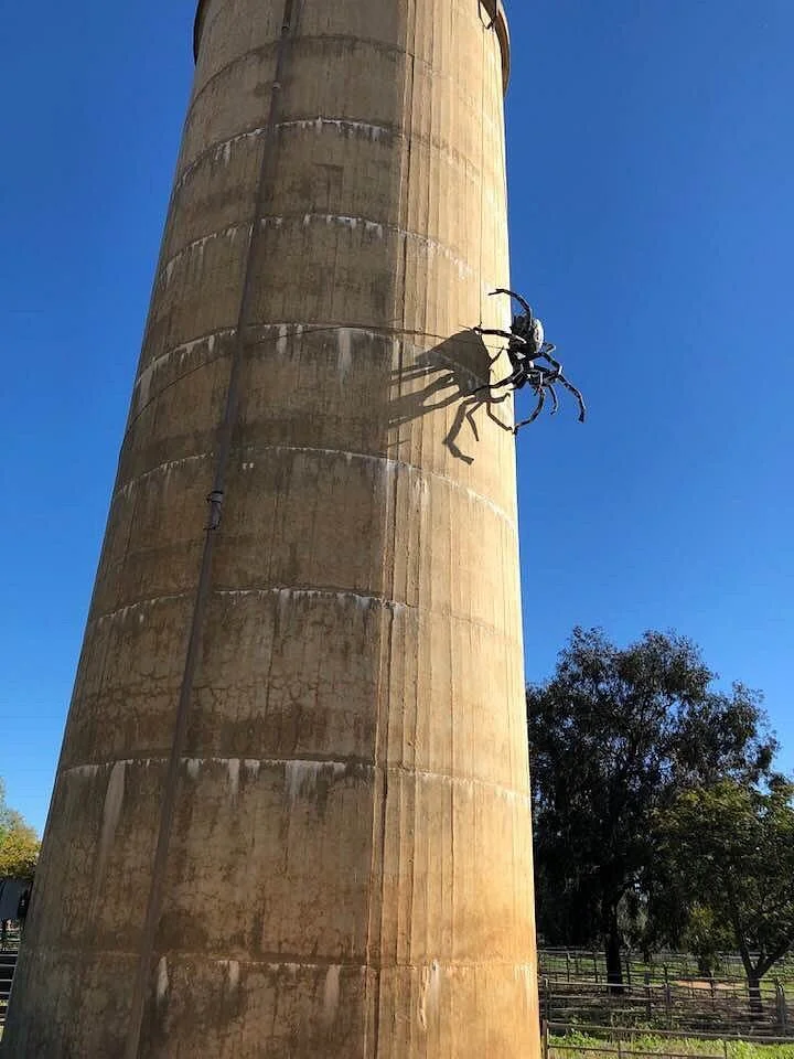 The Big Spider