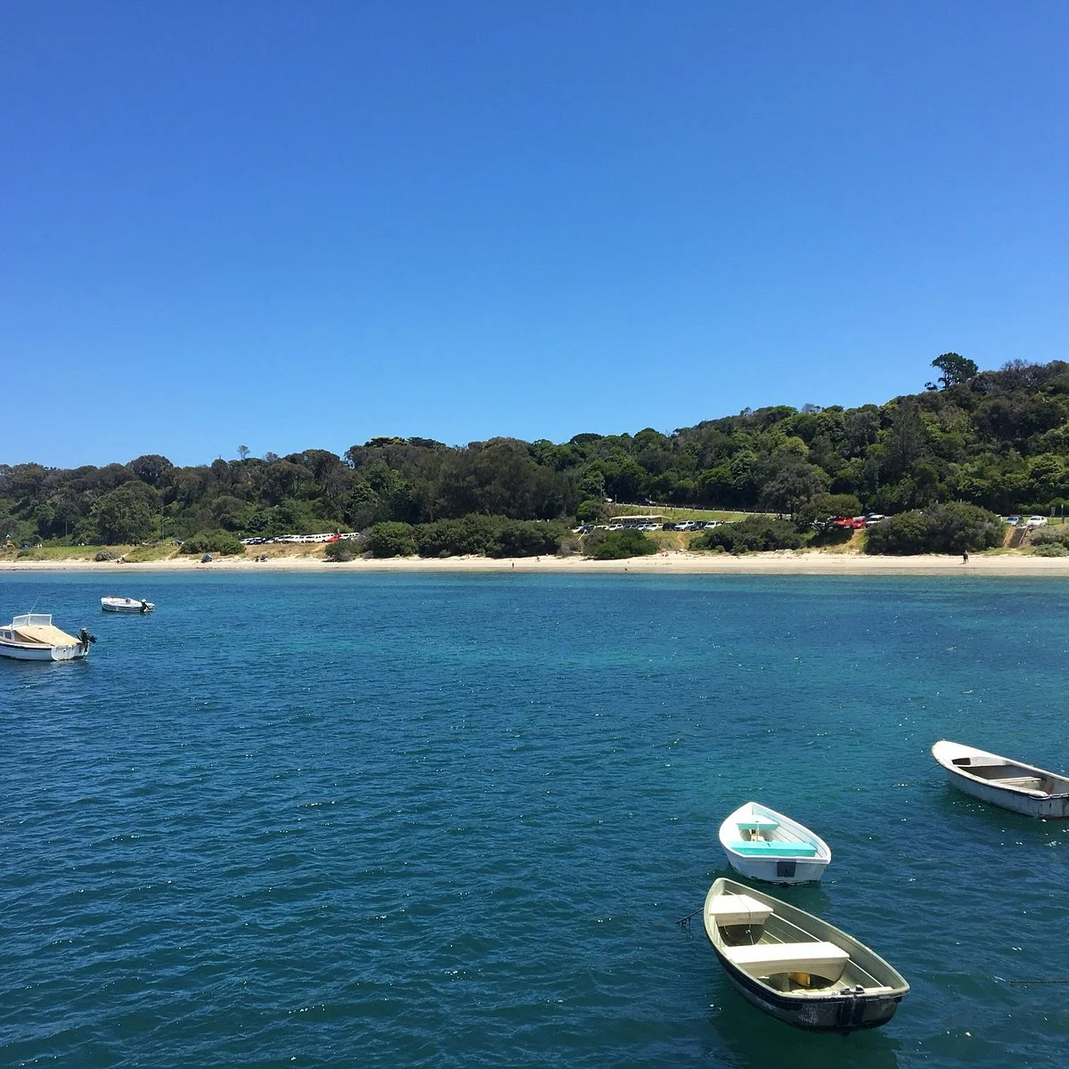 Flinders Beach