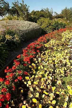 Otakaro Park