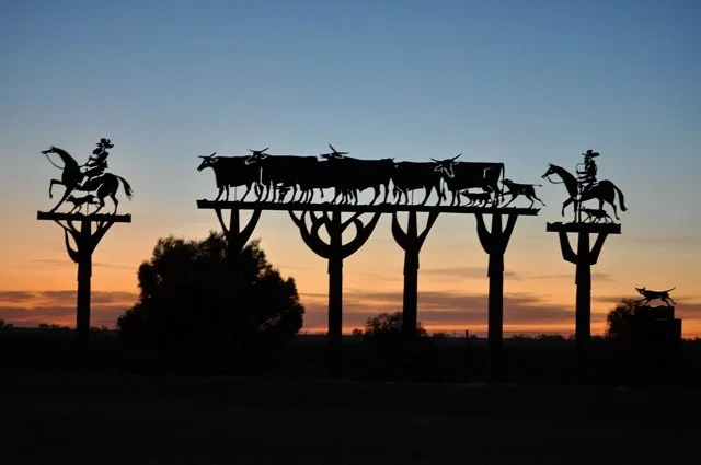 The Long Paddock - Cobb Highway Touring Route