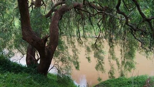FA Andrews Reserve