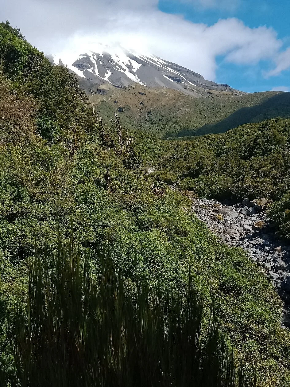 Ridge Loop Track