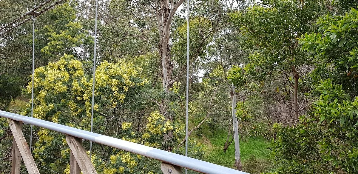 Toomuc Reserve