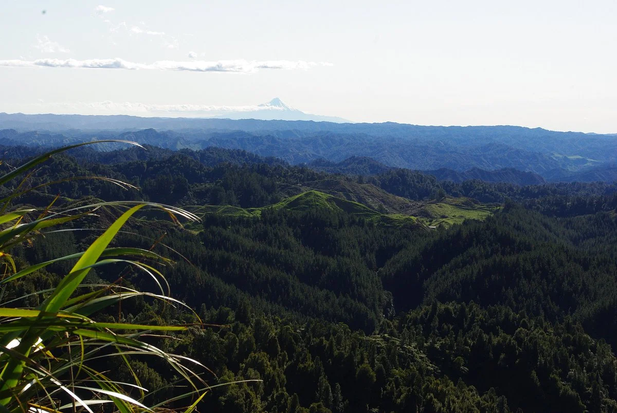 Waitahinga Trails