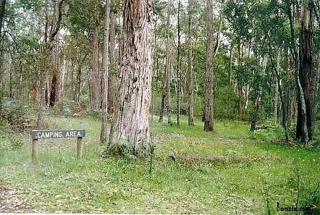 Crawford River Regional Park
