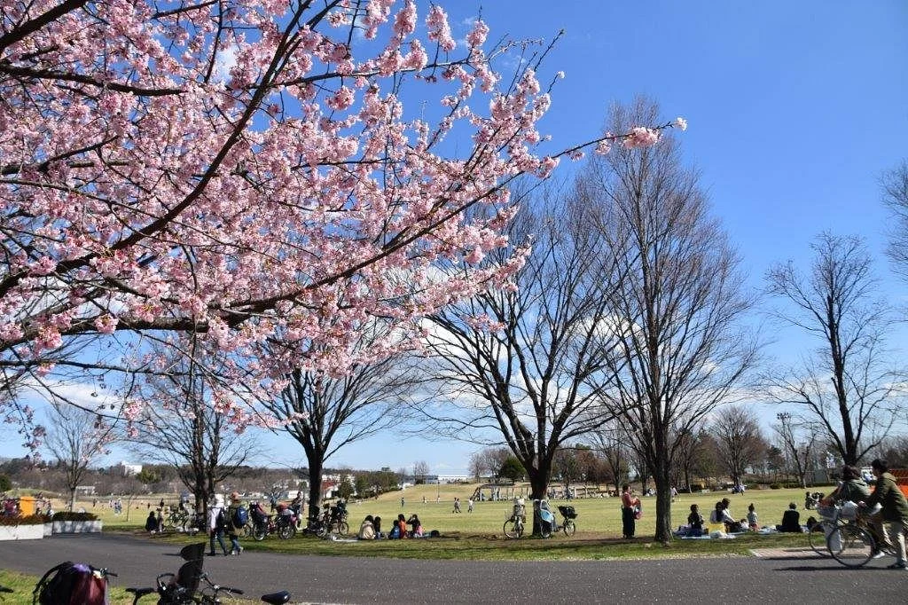 Musashinonomori Park