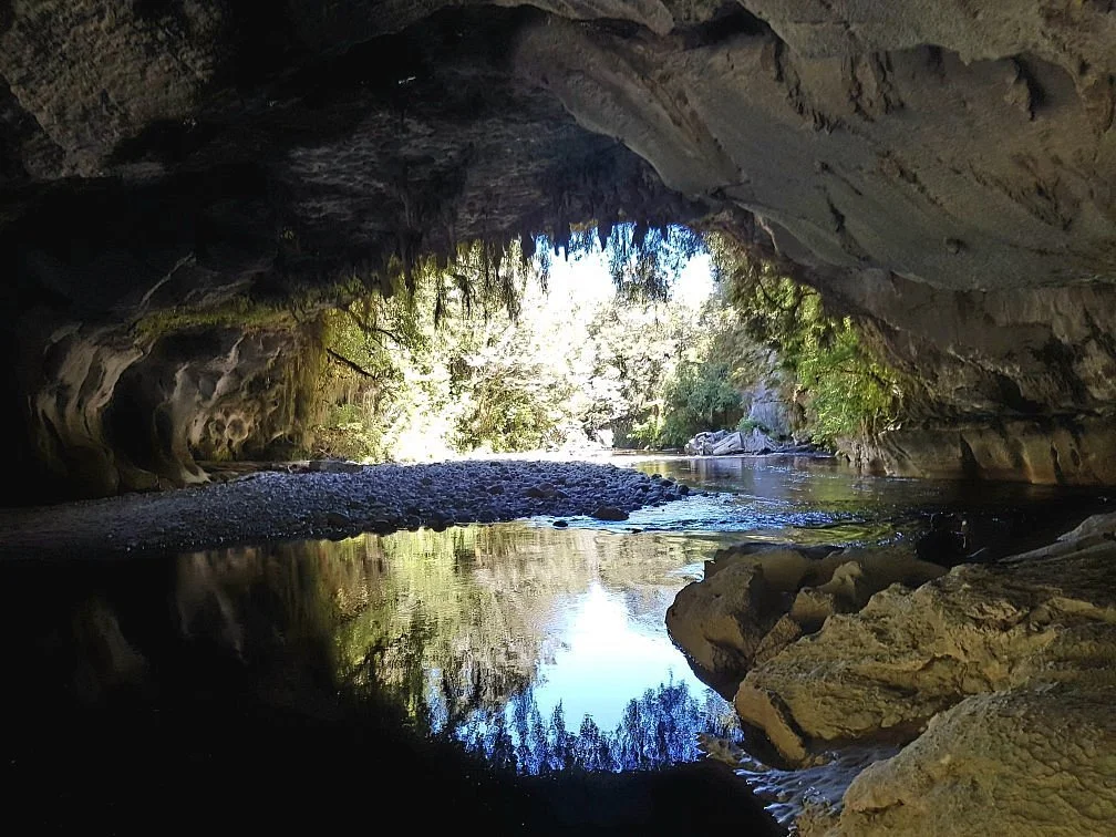 Oparara Basin Walking Tracks