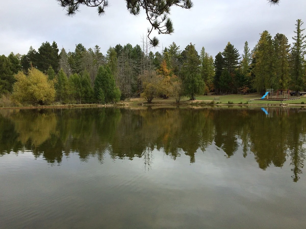 Naseby Swimming Dam