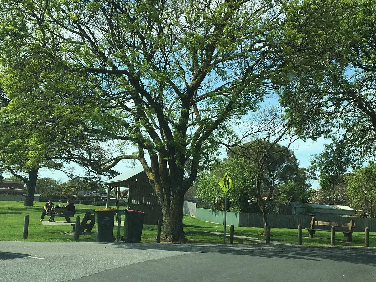 Guide Park Playground