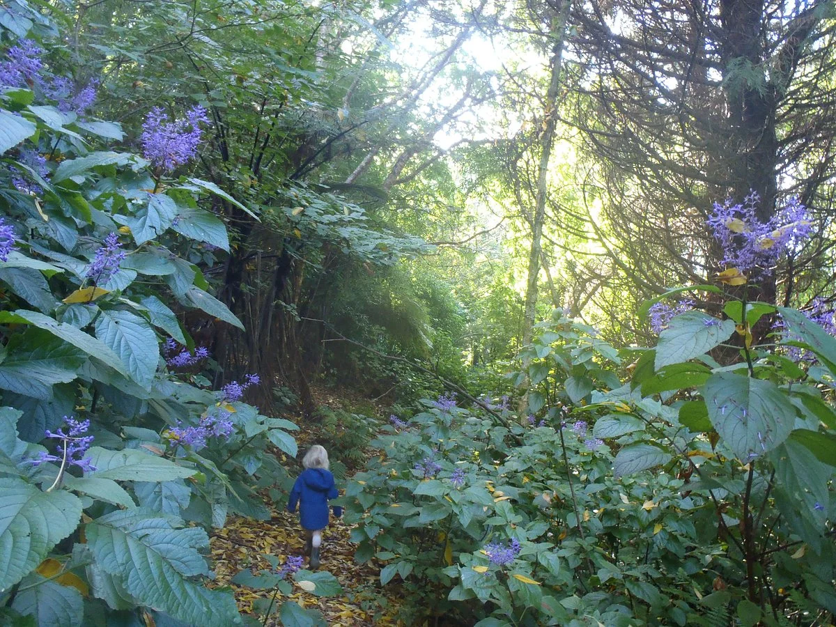 Blackberry Hill Farm