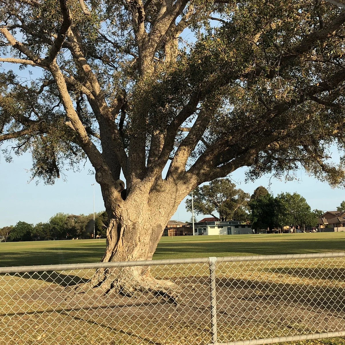 Lord Reserve