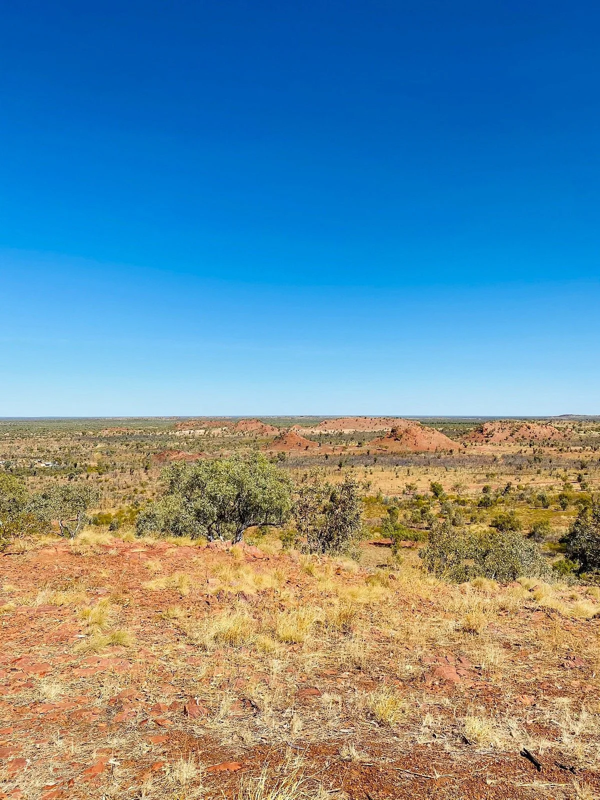 Bill Allen lookout