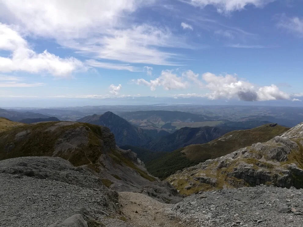 Mount Arthur