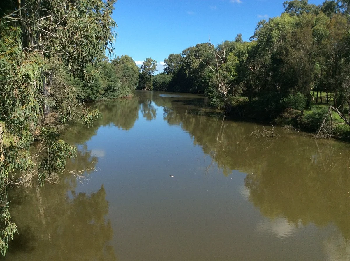 Macalister River Park