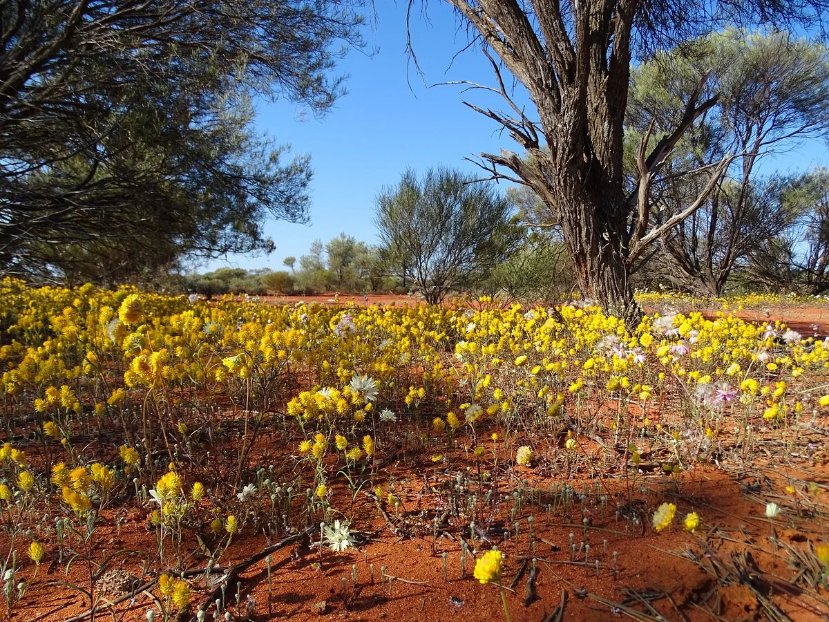 Karara Rangeland Park