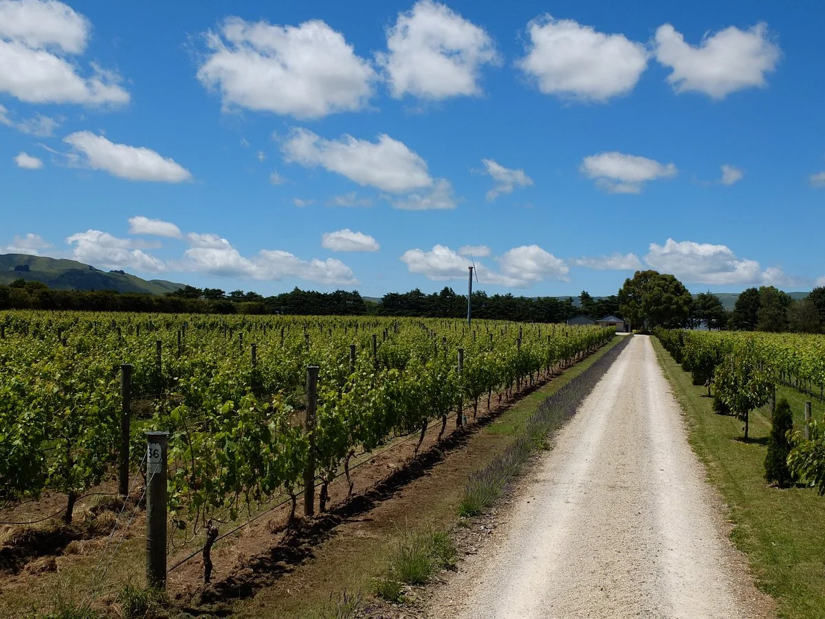 Cambridge Road Vineyard & Cellar Door