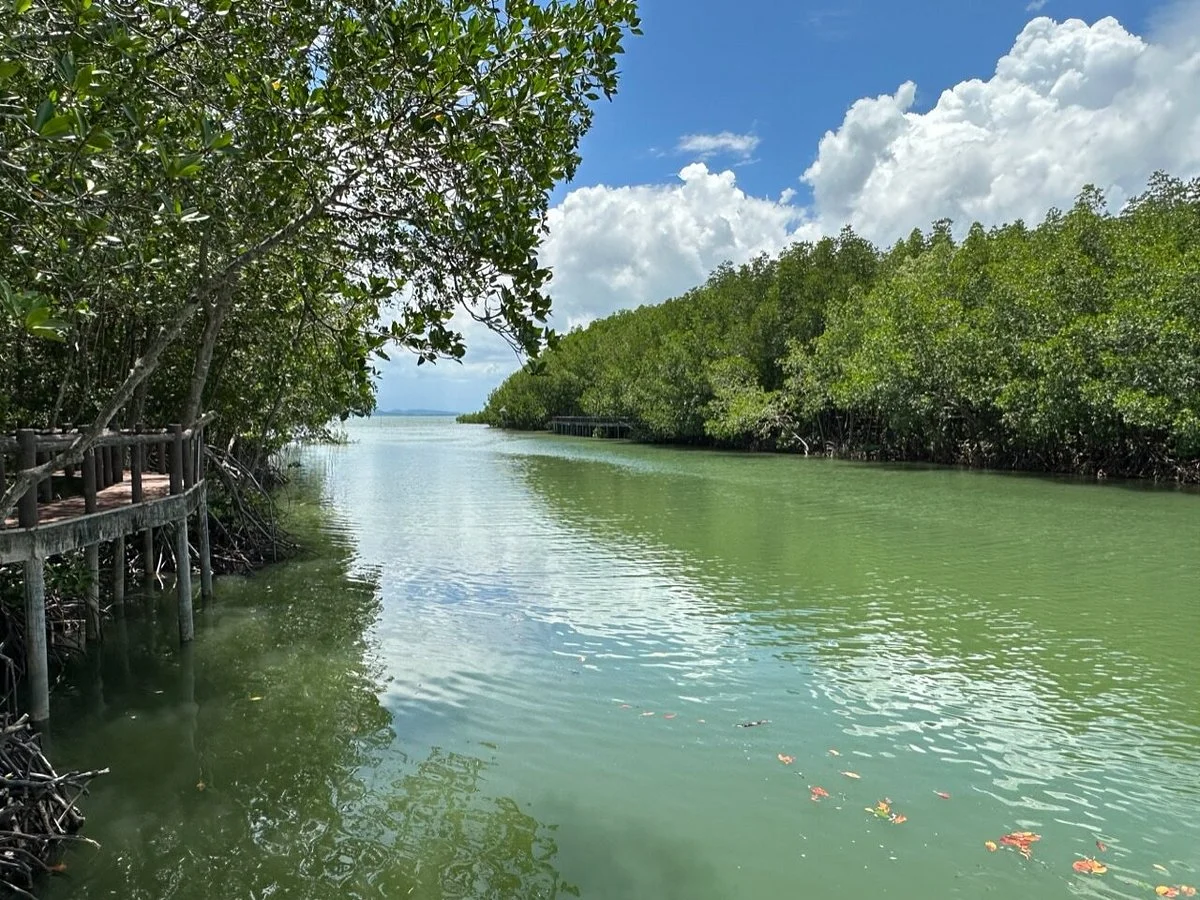 Mu Ko Chumphon National Park