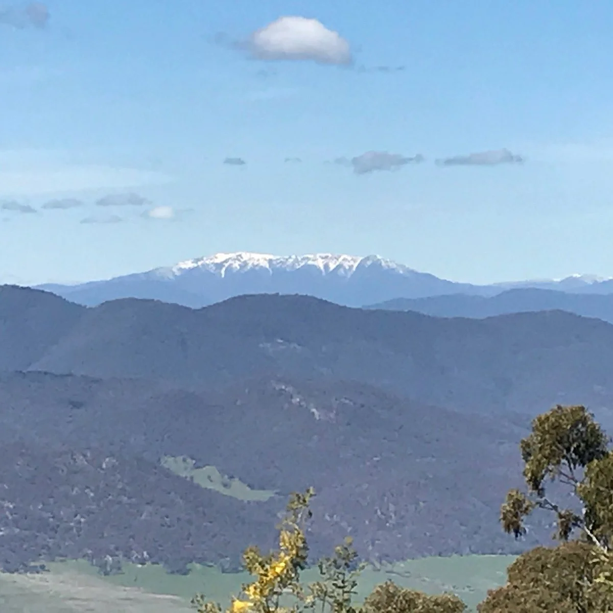 Mount Stanley Look Out