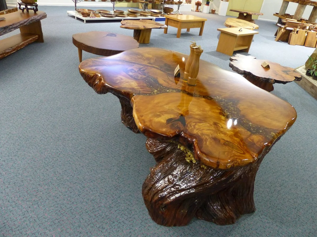 Nelson's Kaihu Kauri