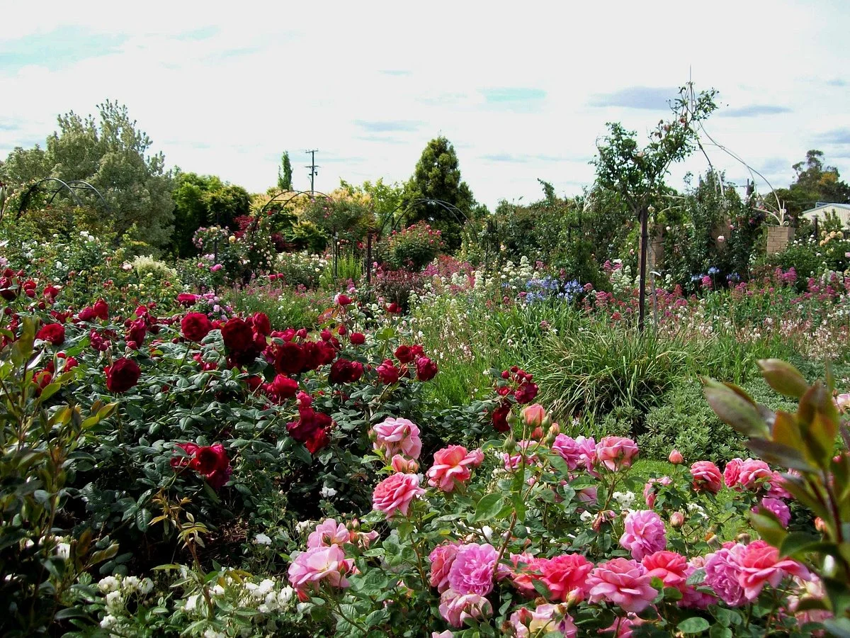 Brindabella Country Garden