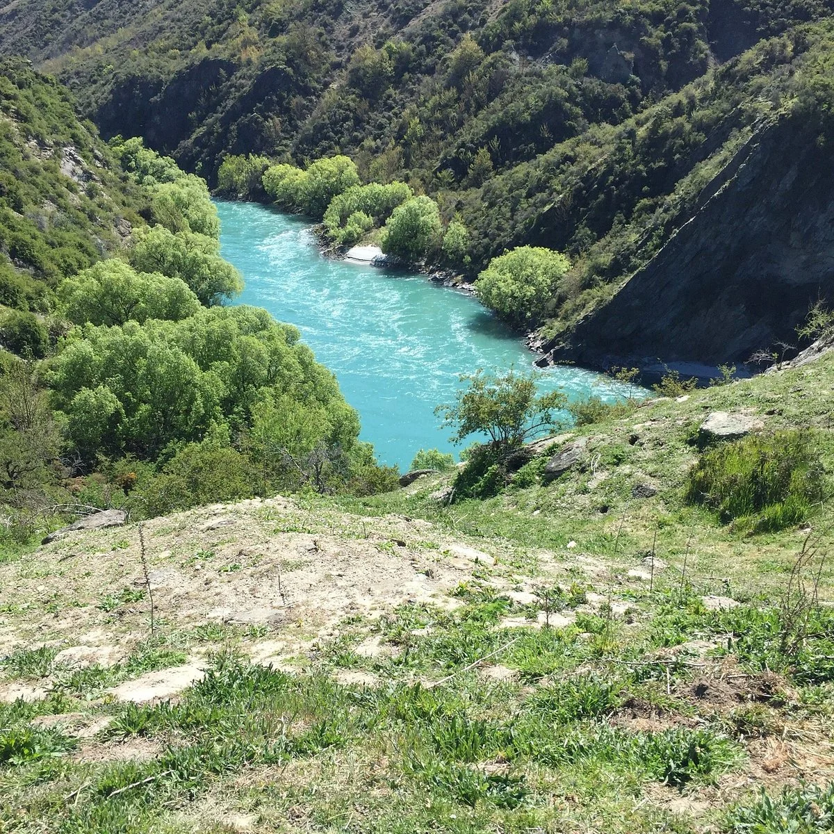 Gibbston River Trail