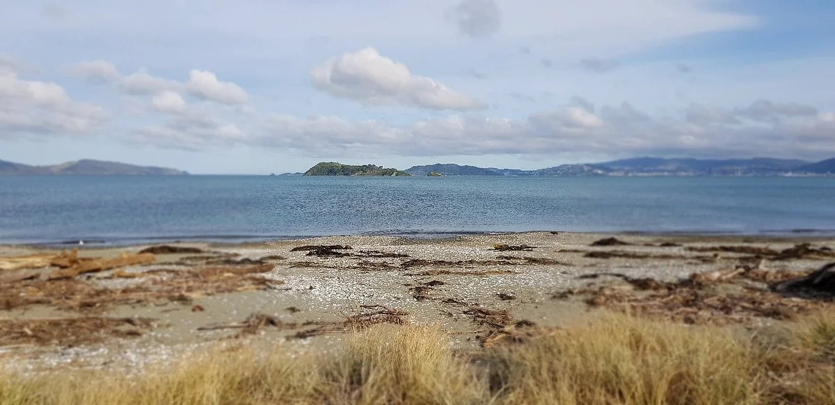 Petone Foreshore