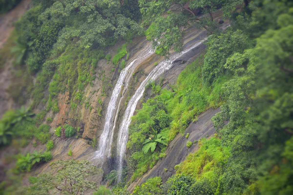 Gautala Autramghat Sanctuary
