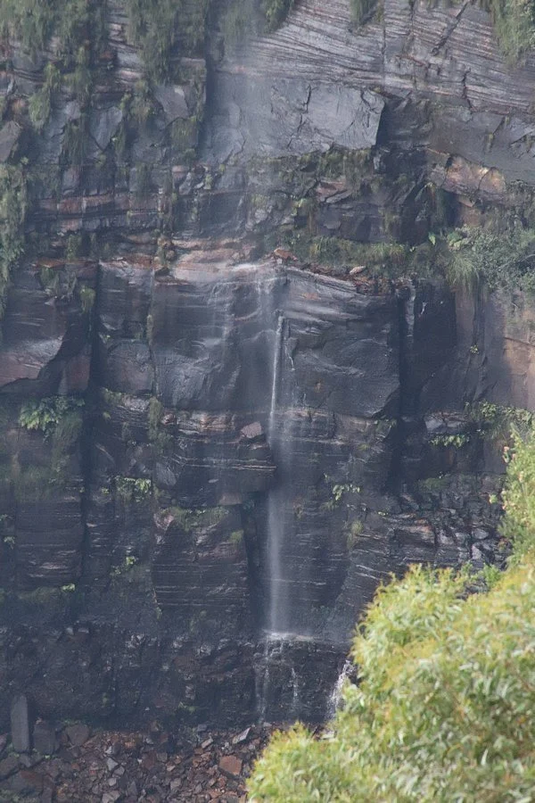 Cliff Top Walking Track