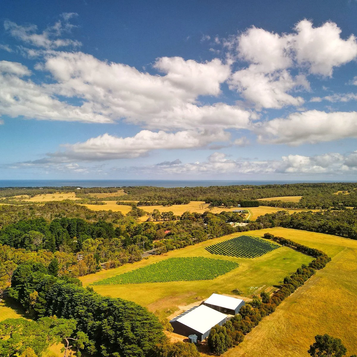 Bellbrae Estate