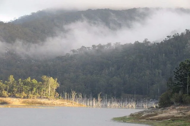 Danbulla National Park