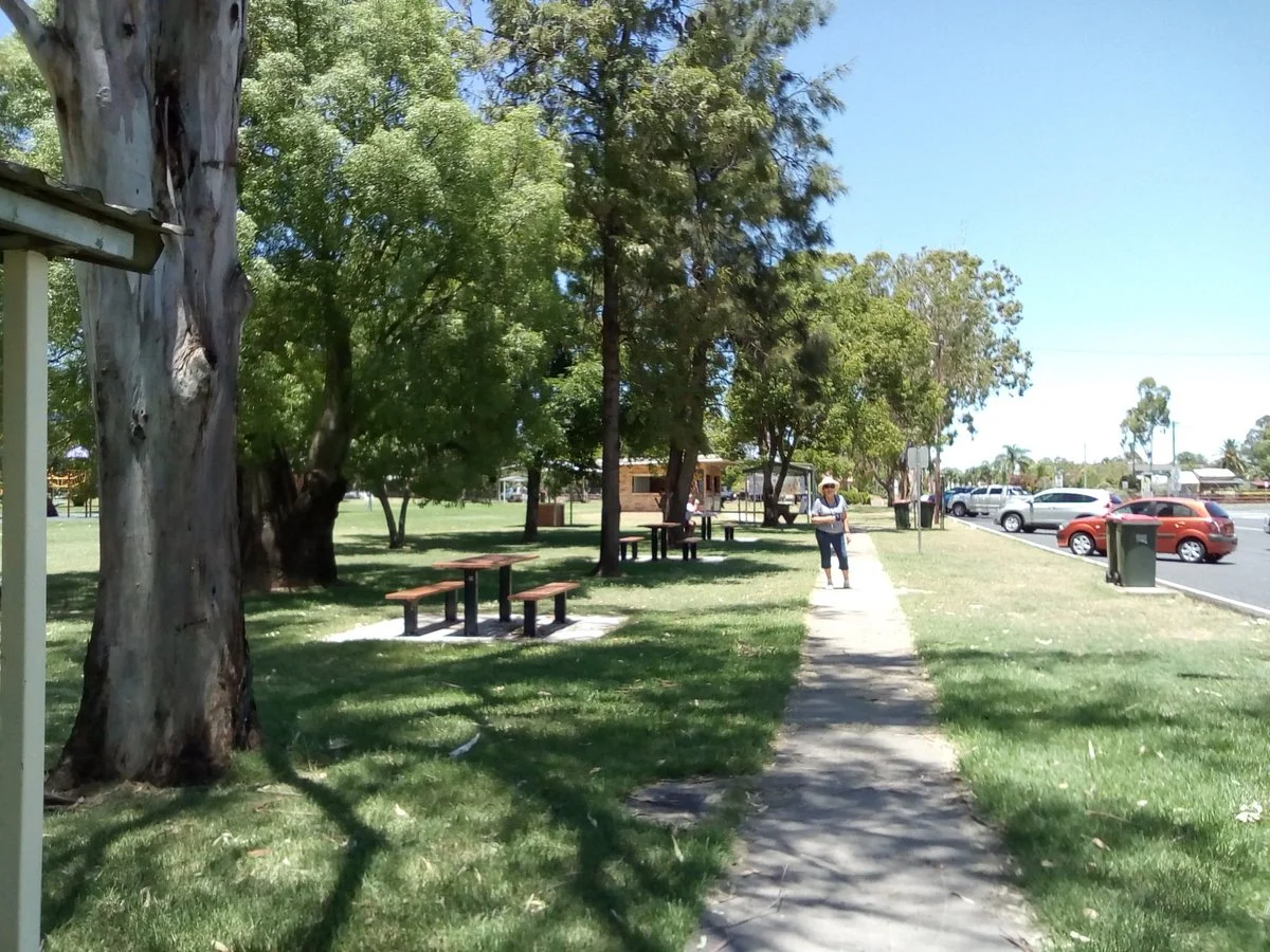 Apex-Lions Park