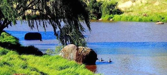 Greenvale Reservoir Park