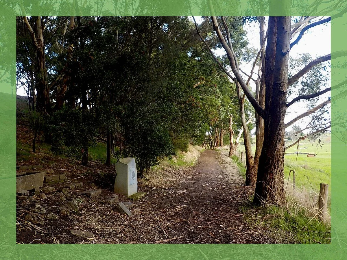 Terang Walking Track