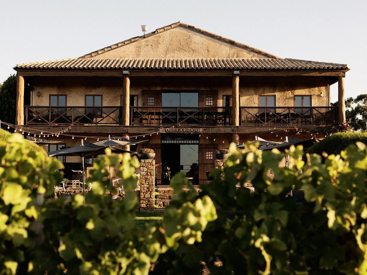Cherubino Wines