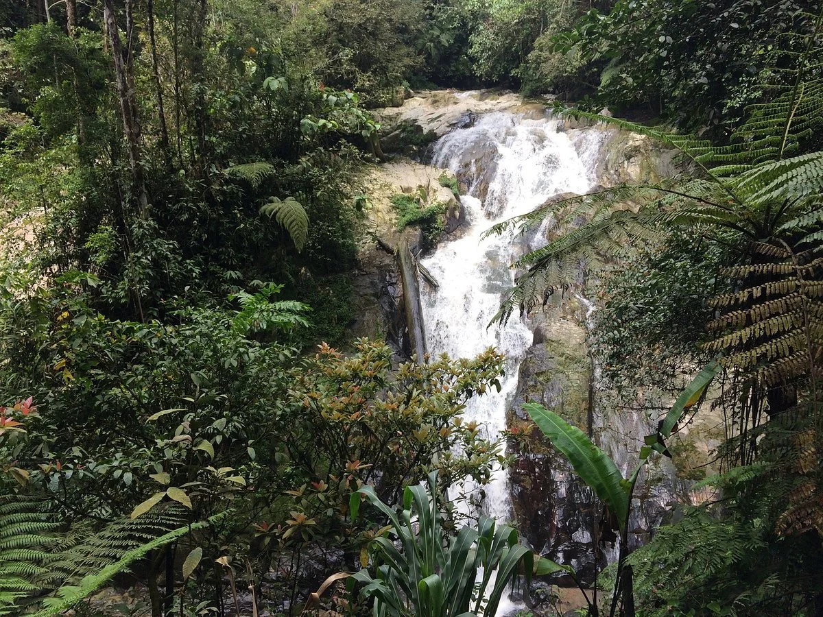 Cameron Highlands Trail No. 9