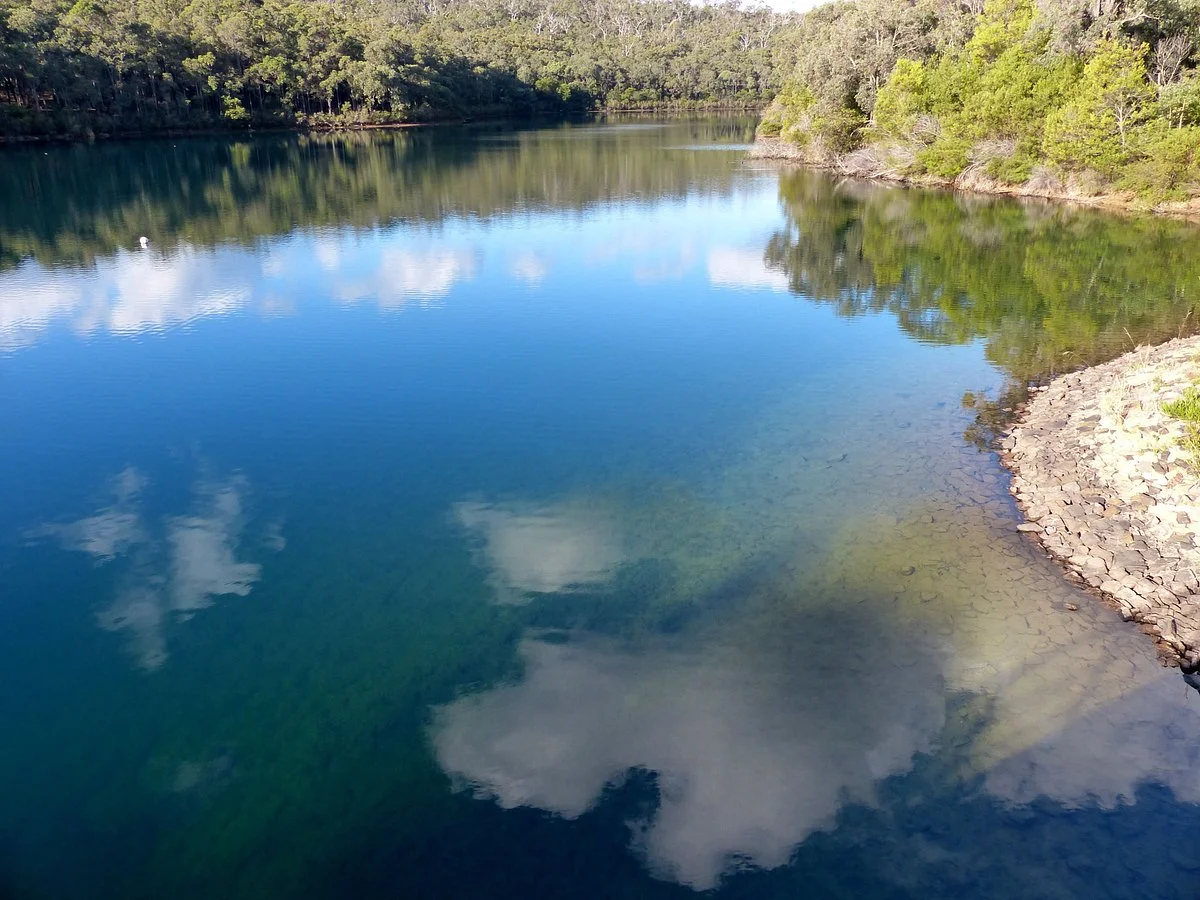Serpentine Pipehead Dam