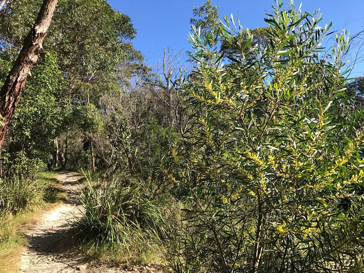 Ford Reserve