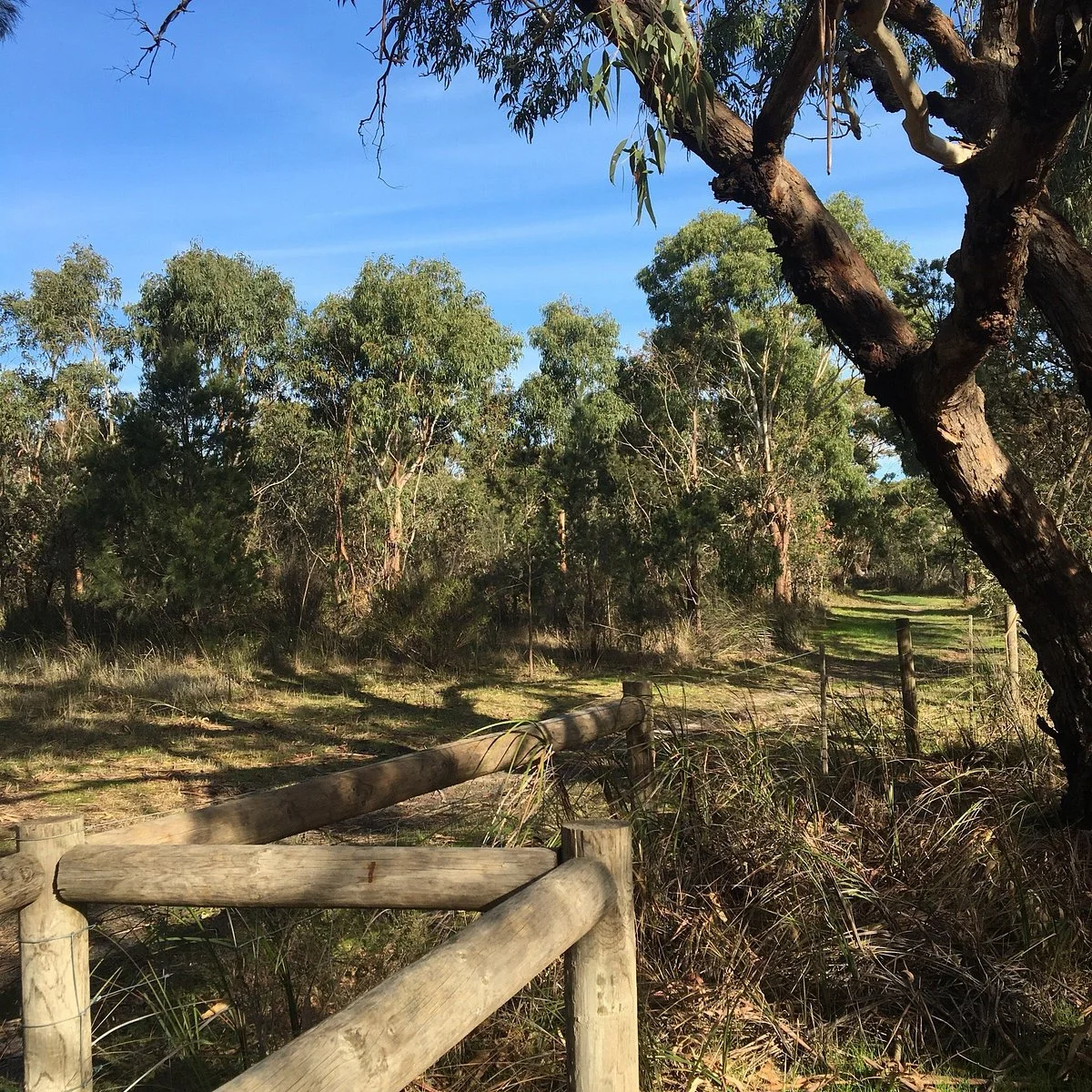 Fairbairn Bushland Reserve
