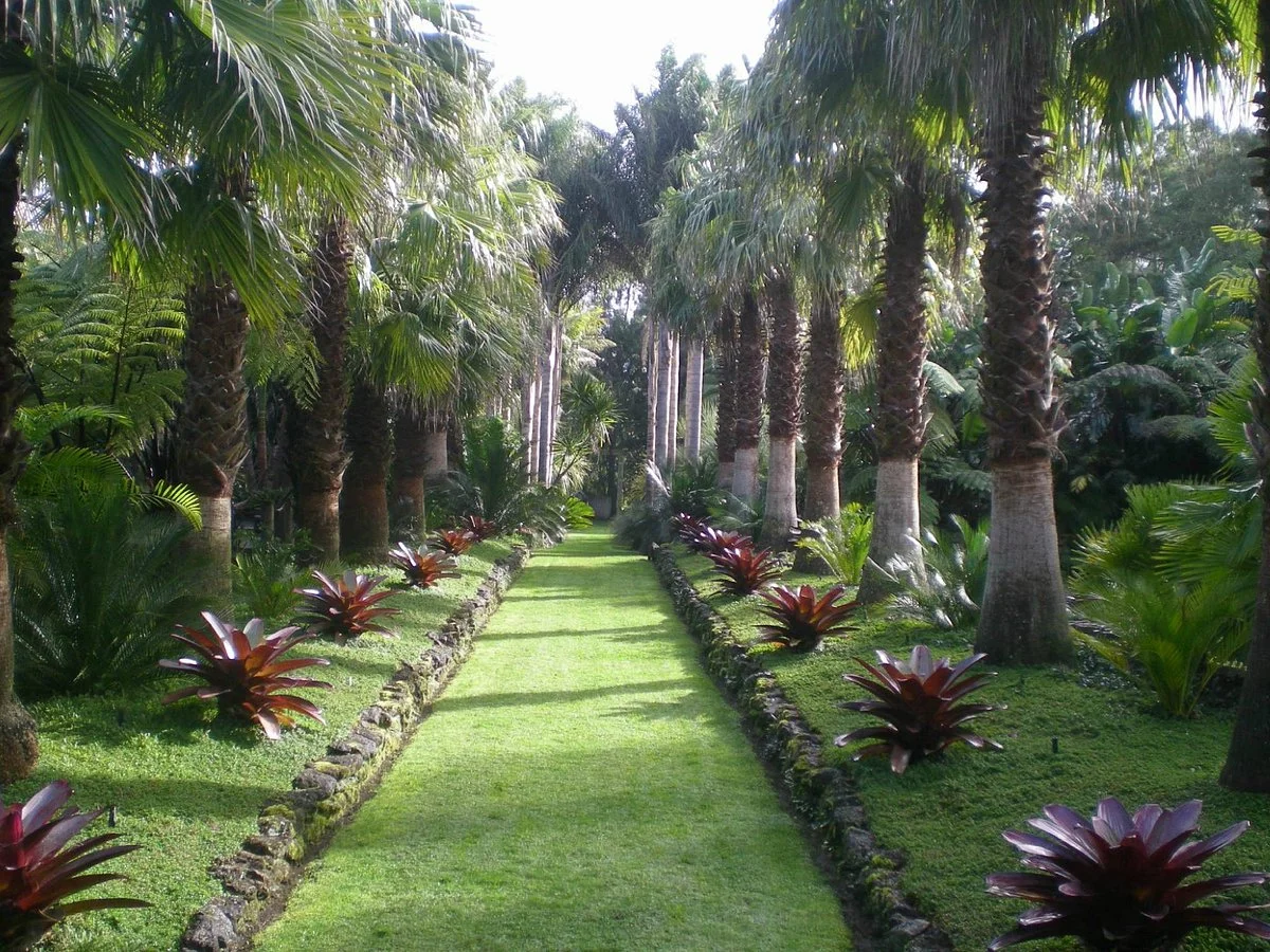 Palmco Garden