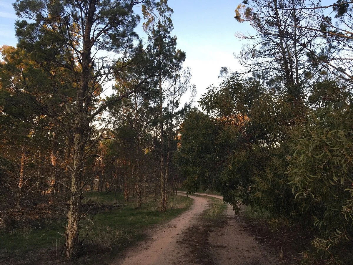 Kiata Flora and Fauna Reserve