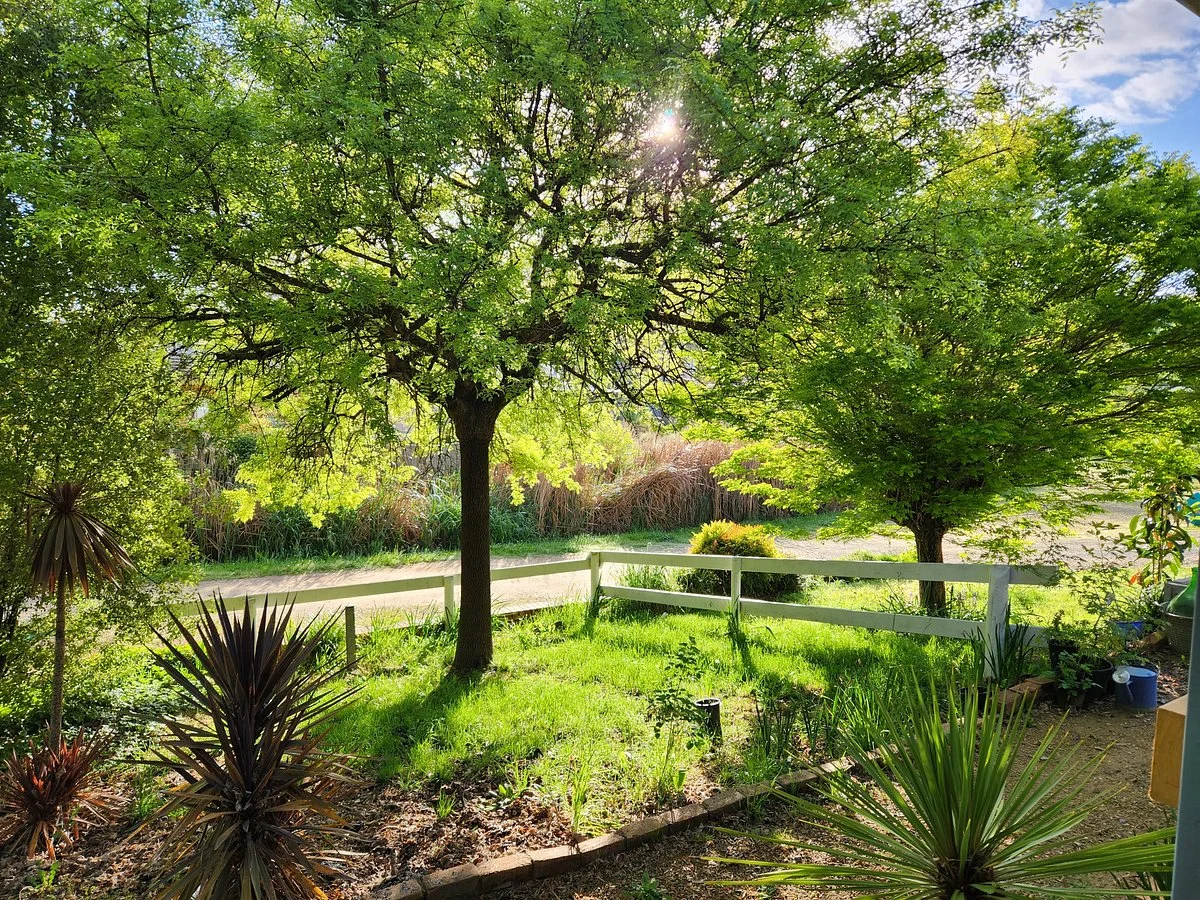 Tumbarumba Visitor Information Centre