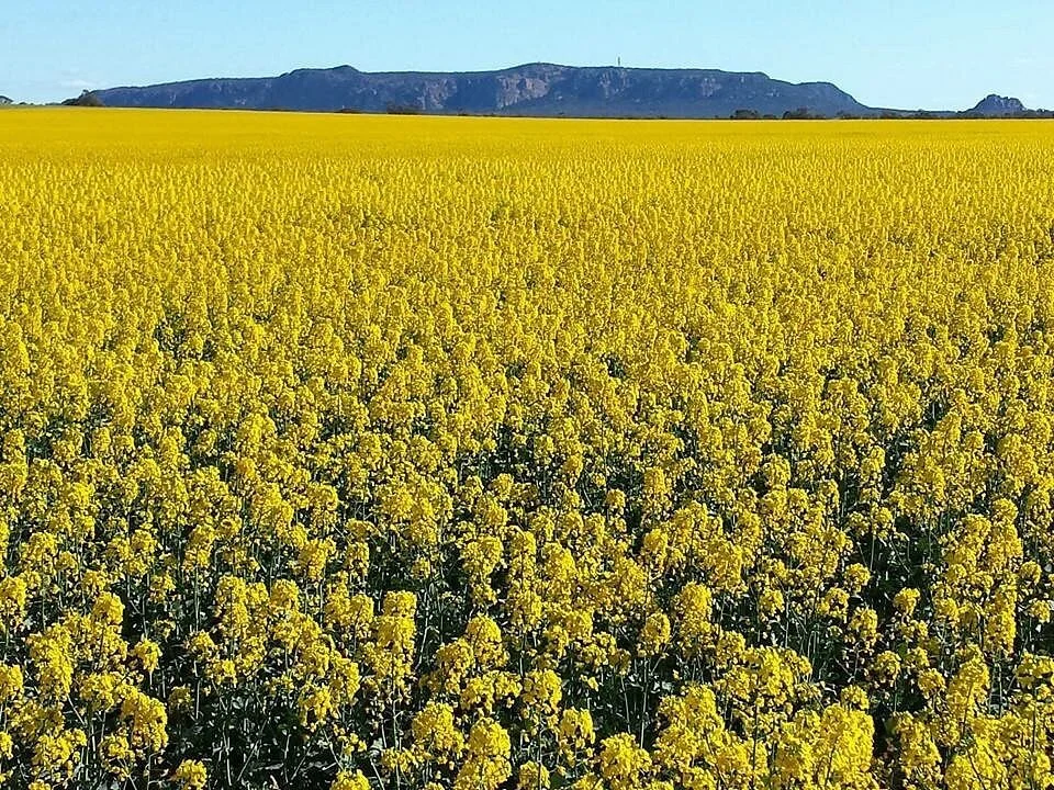 Arapiles Big Sky Bicycle Trail