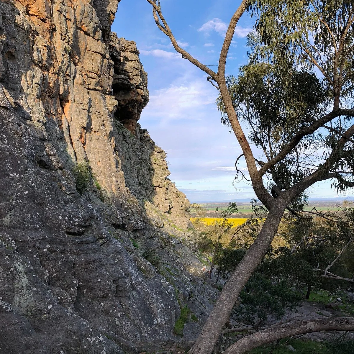 Melville Cave
