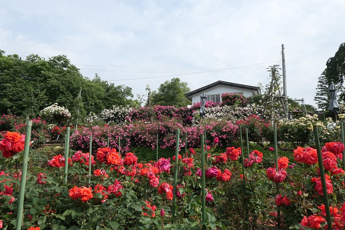 Sosho Park